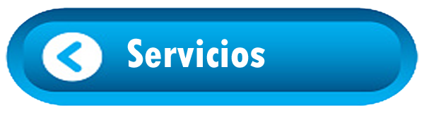 Servicios